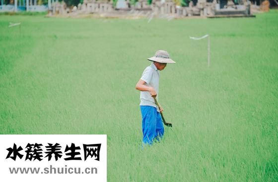 受胁迫杀人怎么判