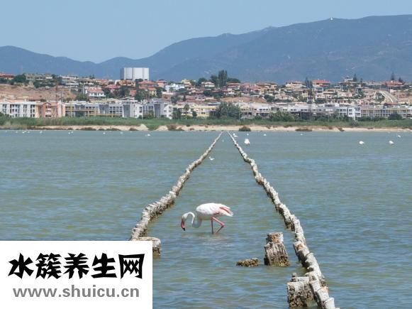 鼻子老打喷嚏怎么办