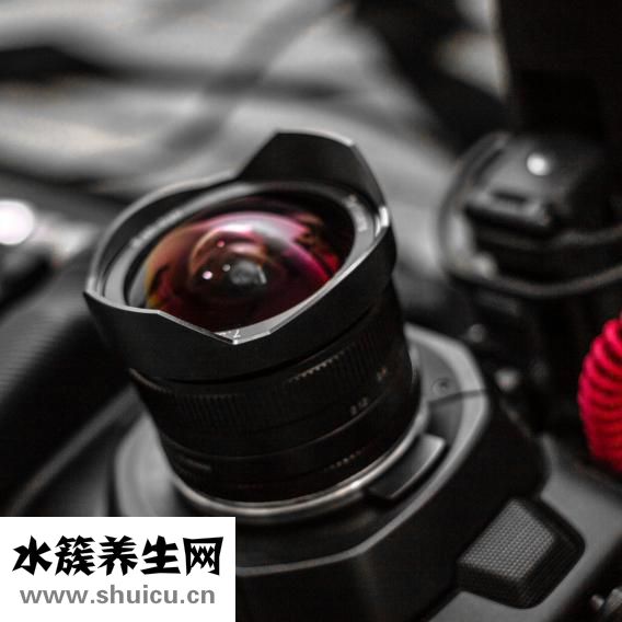 鱼肉眼怎么根治