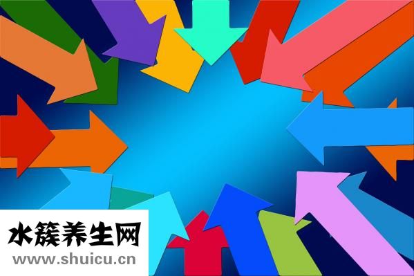 伤元气怎么恢复