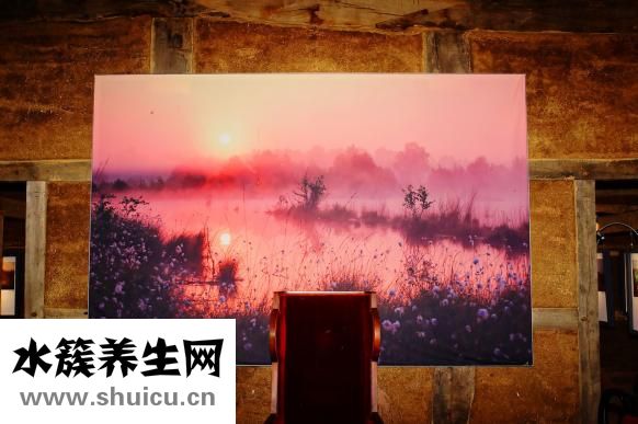 鹅肝怎么煎