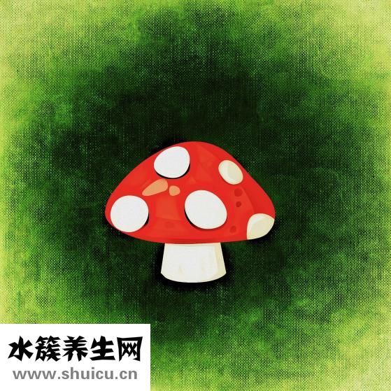 压缩木耳怎么做