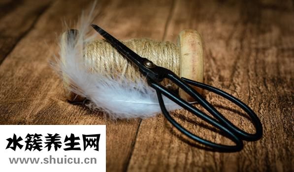 长拉链怎么剪短