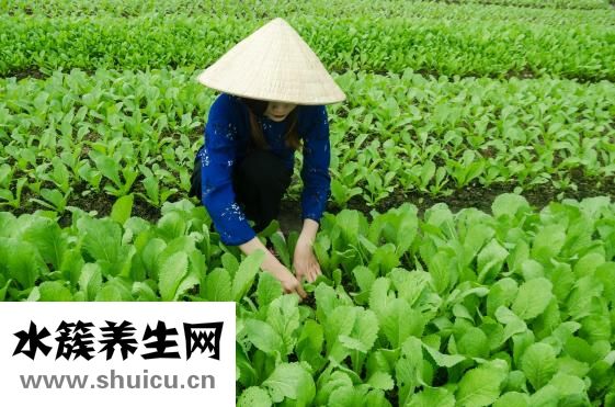 长期尿分叉怎么治