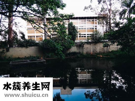 乱环境时应怎么调节