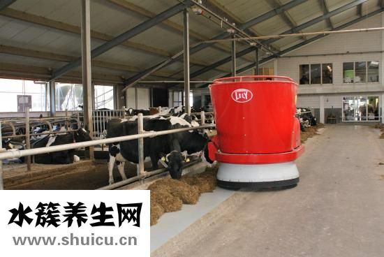 保湿精纯霜怎么用
