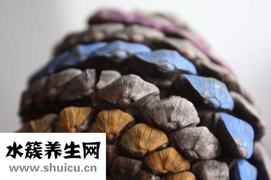 双颈突过长怎么办