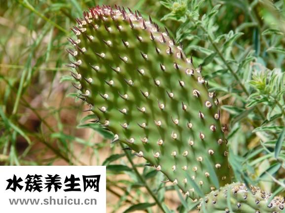 龙须挂面怎么做好吃