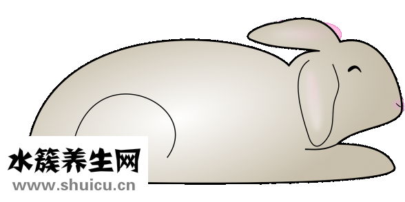 兔子要怎么摸