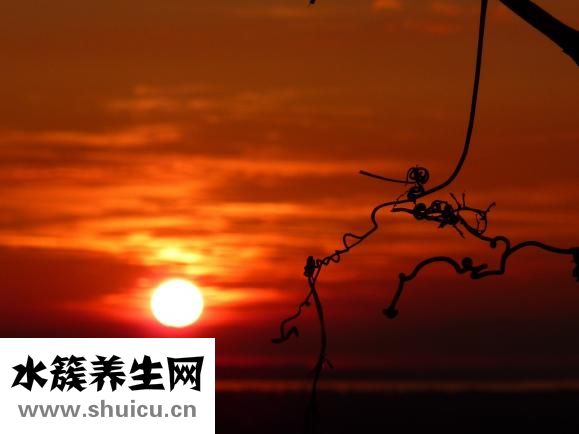 同事脾气差怎么办