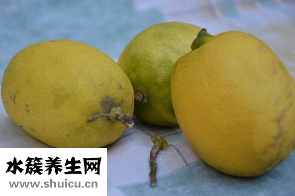陈皮怎么弄