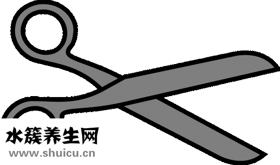 长拉链怎么剪短