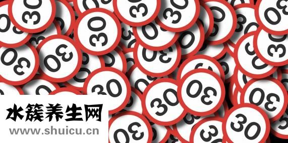 鹿尾巴怎么做