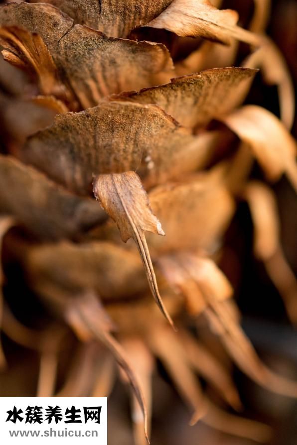 骨母细胞瘤怎么治疗