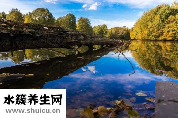 鼻子老打喷嚏怎么办