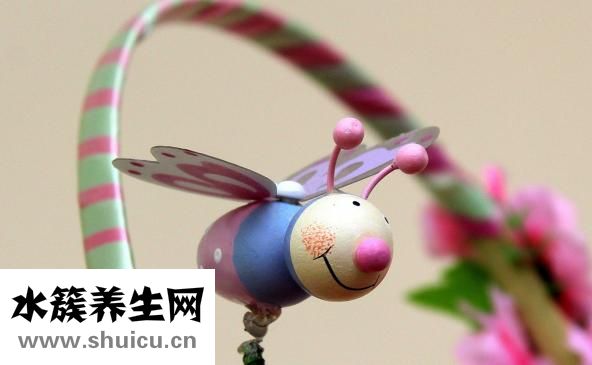 青菜年糕汤怎么做