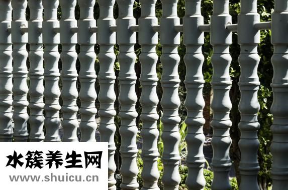 鱼缸有水螅怎么处理