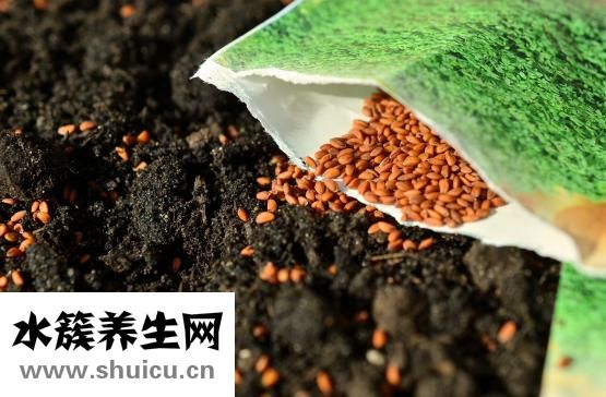 中餐应该怎么吃