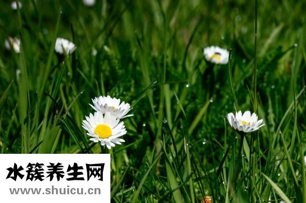 九宫飞怎么运用