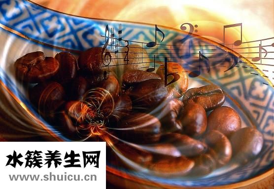 鳄龟营养价值高吃法多营养丰富又好吃