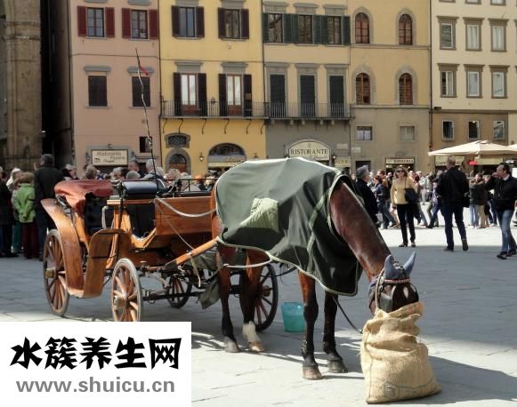 冬季困水缸怎么加热