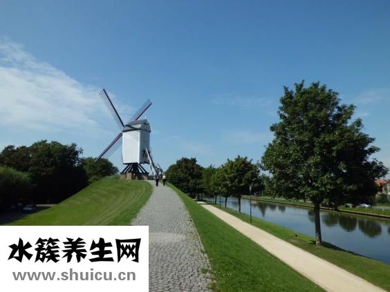 减肥营养不良怎么办