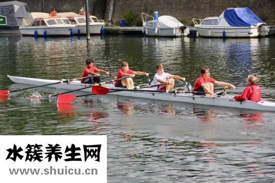 净明道怎么拜师