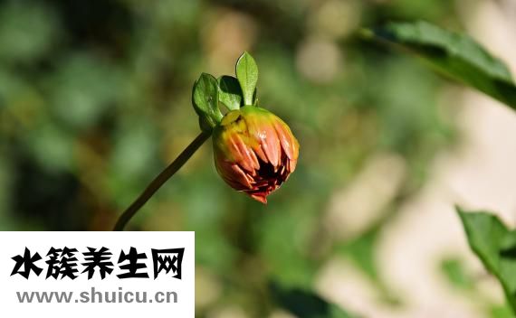 骨质疏松怎么治