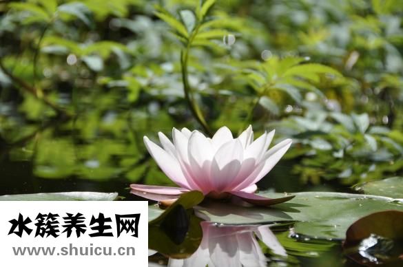 阳角条怎么用