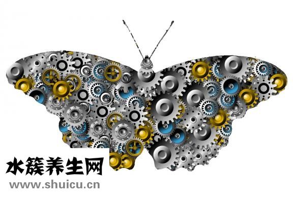 九宫飞怎么运用
