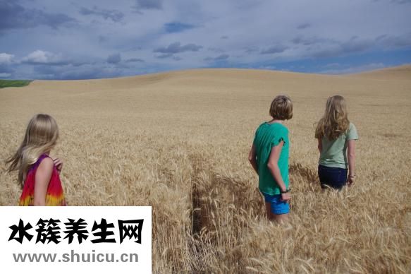 青少年缺铁怎么补