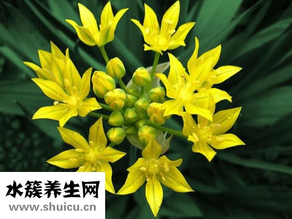 京东假货怎么办