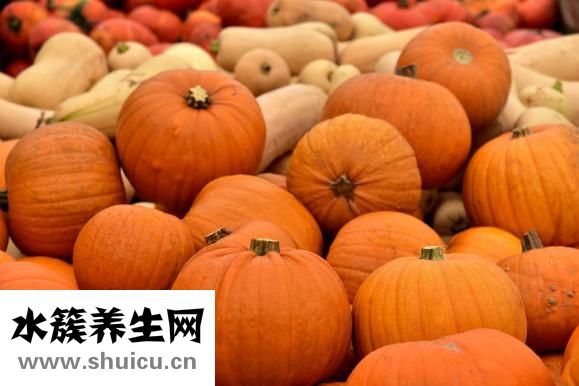 马不吃草料怎么办