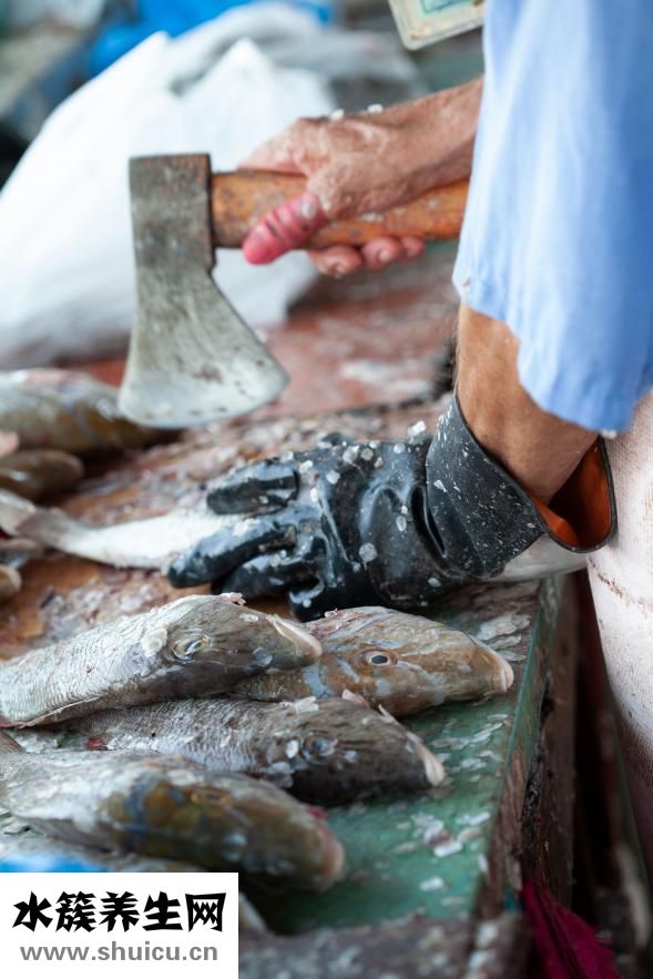 鳄龟怎么养长得快