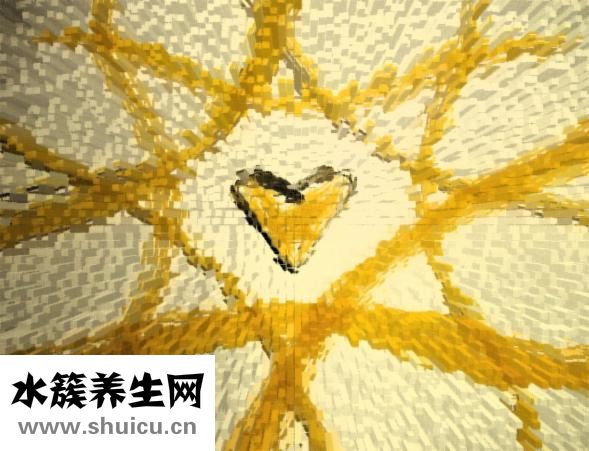 鲜面条怎么生产好吃