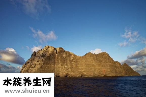 光波炉怎么蒸