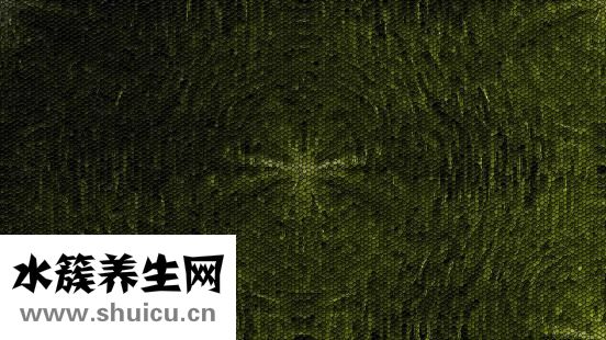 单面透视彩绘怎么办