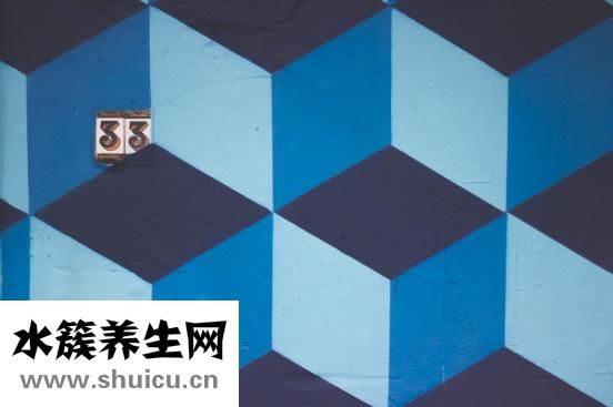 鳖血太多怎么保存