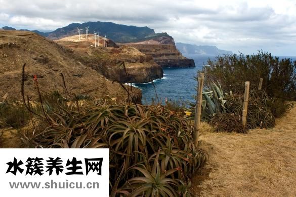 受伤红肿怎么消肿