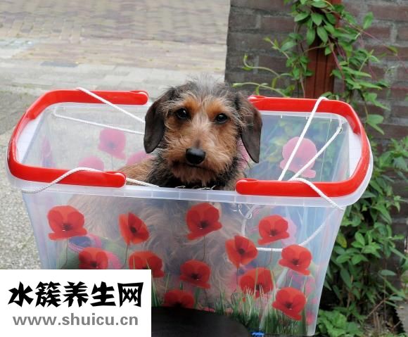 阴天腊肠怎么办
