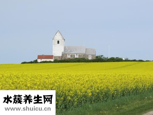鹅肝怎么做好吃法
