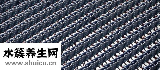 九宫飞怎么运用