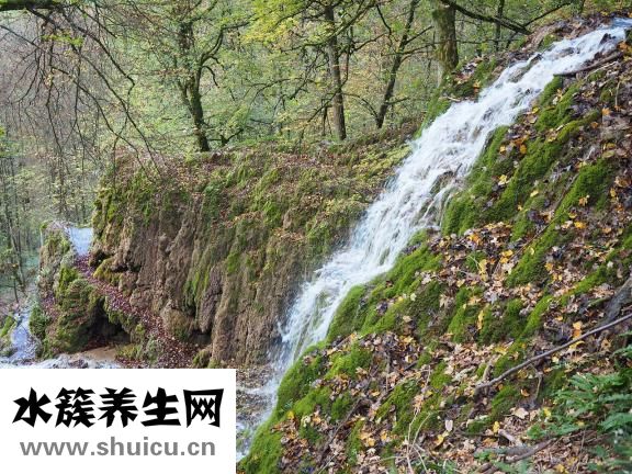 鼻结核怎么治疗