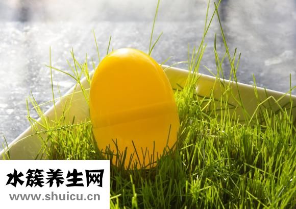 鸡蛋布丁甜点怎么做
