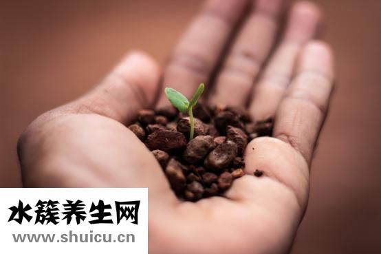 黑山羊拉肚子怎么办
