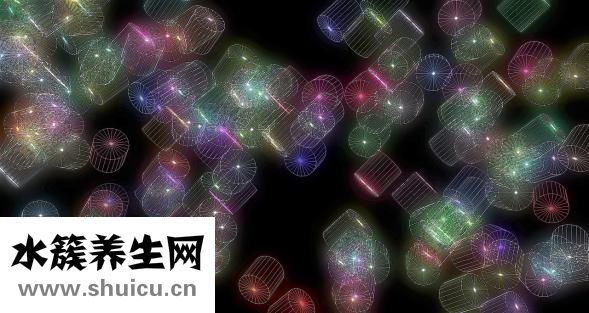 鱼怎么做不掉鱼皮
