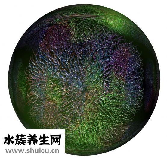 鱼怎么做不掉鱼皮