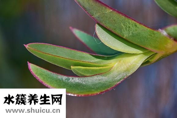 骨质疏松怎么治