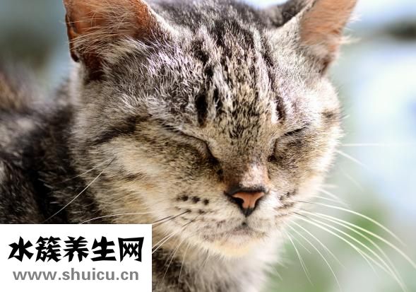 六个月宝宝一天到晚哭闹不停哪些问题存在？