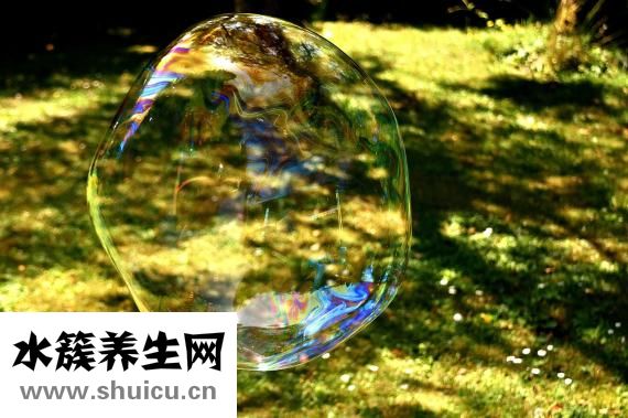 人头蜂蛰着手怎么办